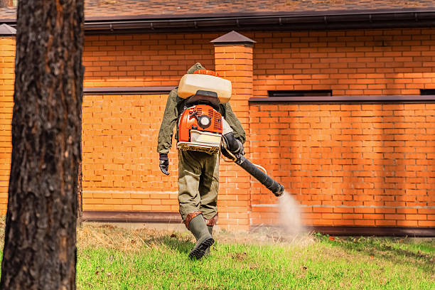 Trusted Ant Control service in West Milwaukee, WI - Nex Pest Control
